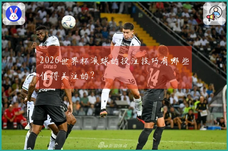 2026世界杯滚球的投注技巧有哪些值得关注的？