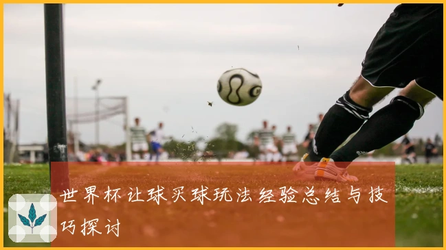 世界杯让球买球玩法经验总结与技巧探讨
