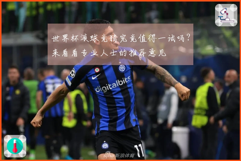 世界杯滚球竞猜究竟值得一试吗？来看看专业人士的推荐意见