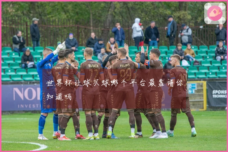 世界杯让球买球哪个平台最靠谱你知道吗