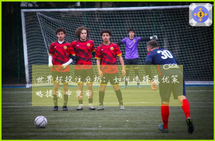 世界杯投注分析：如何选择最优策略提高中奖率