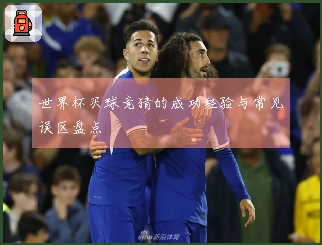世界杯买球竞猜的成功经验与常见误区盘点