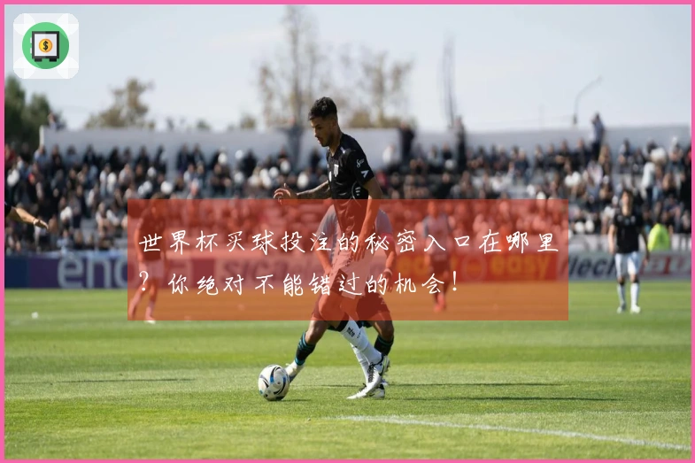 世界杯买球投注的秘密入口在哪里？你绝对不能错过的机会！
