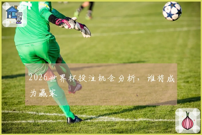 2026世界杯投注机会分析，谁将成为赢家