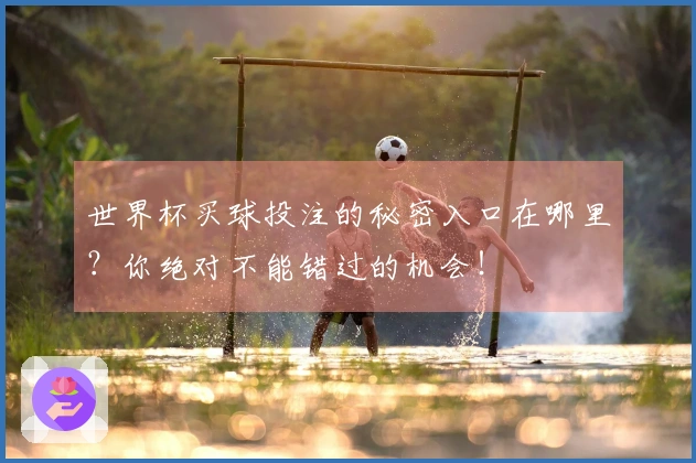 世界杯买球投注的秘密入口在哪里？你绝对不能错过的机会！