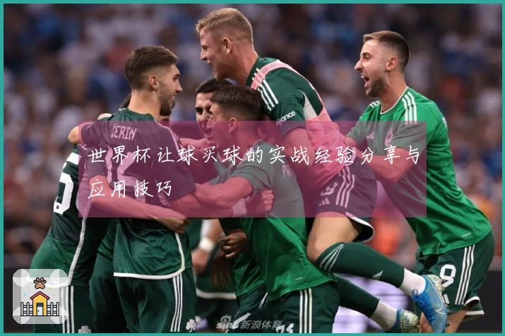 世界杯让球买球的实战经验分享与应用技巧
