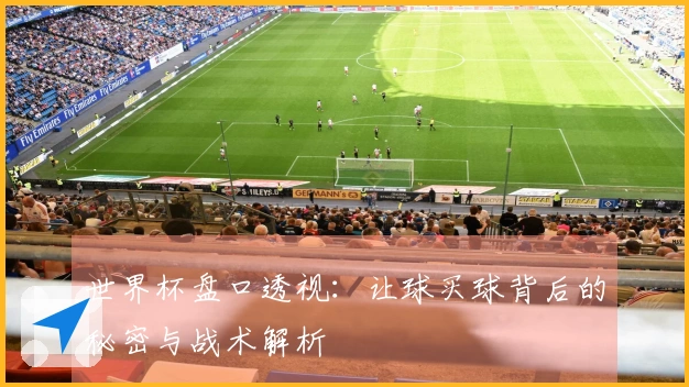 世界杯盘口透视：让球买球背后的秘密与战术解析